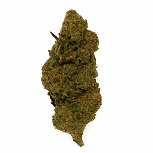 Fleurs CBD premium – variétés naturelles et légales en France - Dynamite CBD