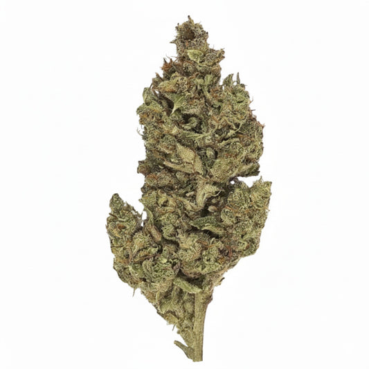 Charlotte Angels CBD - Indoor-Hydro - Dynamite CBD