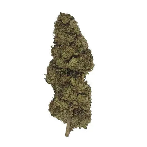 Super Lemon Haze CBD - Glass-House - DYNAMITE CBD