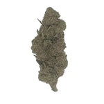 Bubble Gum CBD - Glass-House - Vignette | DYNAMITE CBD