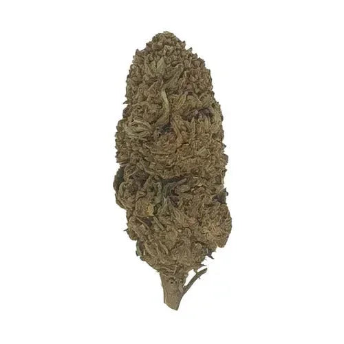 Fruit Cake CBD - Glass-House - DYNAMITE CBD