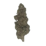 Bubba Kush CBD - Glass-House - Vignette | DYNAMITE CBD