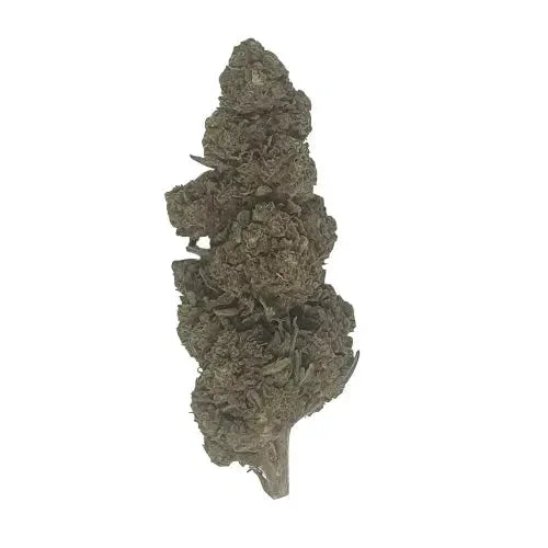 Bubba Kush CBD - Glass-House - DYNAMITE CBD
